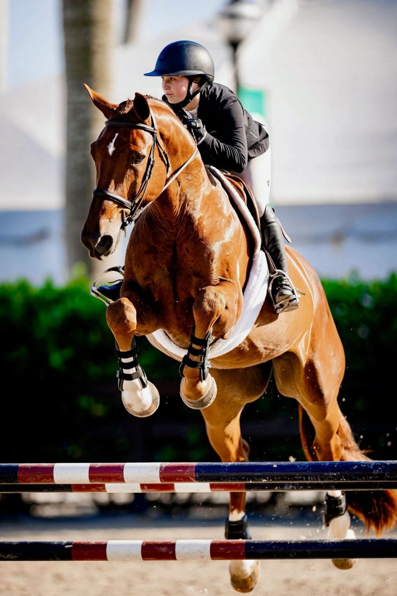 SH Privilege jumping